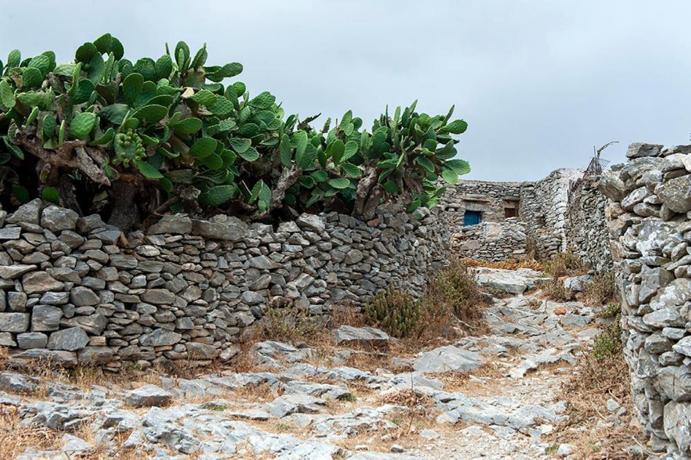 Pagali Hotel Órmos Aiyialís エクステリア 写真