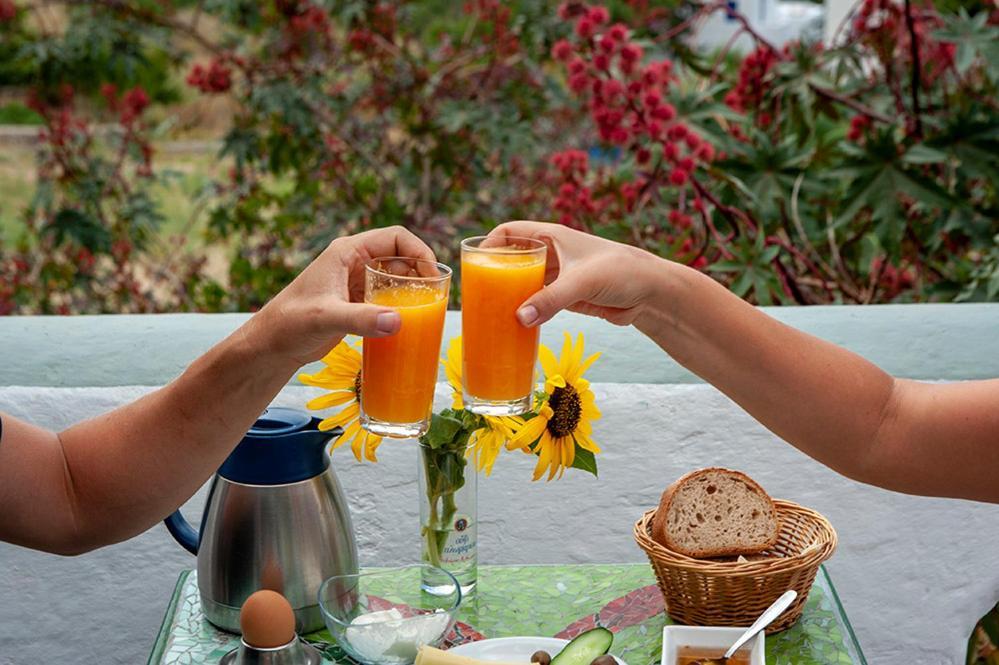 Pagali Hotel Órmos Aiyialís エクステリア 写真